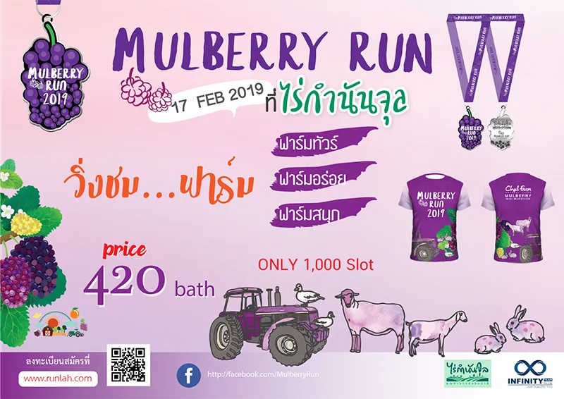 MULBERRY RUN's banner