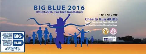 Big Blue Run 2016's banner